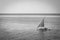 Sailboat on the sea, black and white. Regatta concept. Marine race. Yacht on tropical seascape, monochrome. Summer recreation.