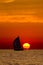 Sailboat in the sunset.