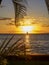 Sailboat in the sunset, Maui.