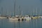 Sailboats Aligned in San Diego Bay