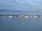 Sailboats at anchor in Crandon Marina on Key Biscayne.