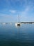 Sailboats at anchor in Crandon Marina on Key Biscayne.