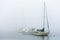 Sailboats at anchor in early morning fog