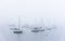 Sailboats at anchor on a foggy Maine morning