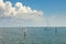Sailboats Anchored in Tampa Bay, Florida