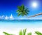 Sailboats Beach Palm Tree Concept