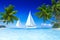 Sailboats Beach Palm Tree Summer Vacation Concept