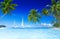 Sailboats Beach Palm Tree Summer Vacation Concept