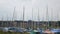 Sailboats at Blakeney