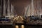 Sailboats Docked in Port at Night - Tel Aviv, Israel