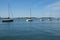 Sailboats docked quietly off pier marina