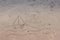 Sailboats Drawing in the sand