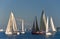 Sailboats in Elliot Bay