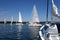 Sailboats floating in blue lake in summer.