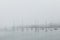 Sailboats on a foggy morning