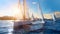Sailboats gracefully navigating the vast ocean, a serene and picturesque scene of sailboats cruising