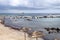 sailboats at harbor with blue sky and palm trees in Long Beach,