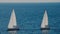 sailboats on the horizon in the beautiful Adriatic sea