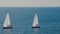 A sailboats on the horizon in the beautiful Adriatic sea