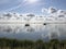 Sailboats at the IJsselmeer