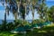 Sailboats lined up along the bank at a Sailing Yacht Club