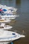 Sailboats lined up in a line