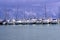 Sailboats in a Marina in Puerto Rico