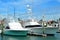 Sailboats moored in marina