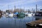 Sailboats moored in a marina, Portland OR.