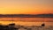 Sailboats, moored by the sea in the Grado lagoon. Colorful sunrise.