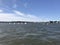 Sailboats out in Annapolis Harbor, Maryland