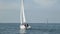 Sailboats participate in sailing regatta