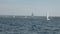 Sailboats participate in sailing regatta