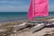 Sailboats pink from rent at Noirmoutier beach in France