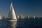 Sailboats on Puget Sound