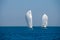 Sailboats regatta sailing in Mediterranean