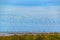 Sailboats at River, Montevideo, Uruguay