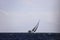 Sailboats sail in windy weather in the blue waters of the Aegean Sea