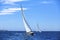 Sailboats in sailing regatta. Sailing. Outdoor lifestyle.