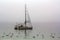 Sailboats and seagulls in the sea on a fog day