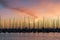 Sailboats at sunrise in St. Petersburg