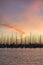 Sailboats at sunrise in St. Petersburg