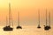 Sailboats at sunset in Adriatic sea