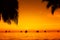 Sailboats at sunset on a tropical sea. Palms on the beach. Silhouette photo.