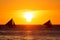 Sailboats at sunset on a tropical sea. Silhouette photo.