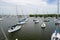 Sailboats in water Dinner Key Marina Coconut Grove Miami Florida USA