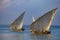 Sailboats on the water surface. Zanzibar island , Tanzania, Africa