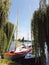 Sailboats between weeping willow trees at lake