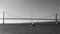 Sailboats with white sails on the Tagus River, 25 of April Bridge, Lisbon, Portugal - monochrome