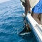 Sailfish catch billfish sportfishing holding bill